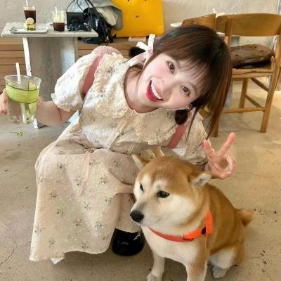 党同伐异